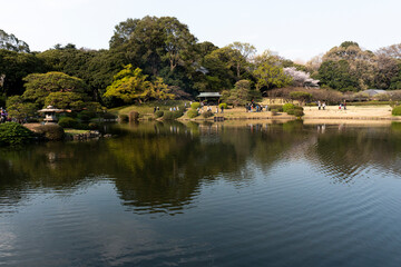 Naklejka na ściany i meble lake in the park, Japanese garden with a lake, garden in spring