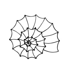 Graphic seashell isolated on white background