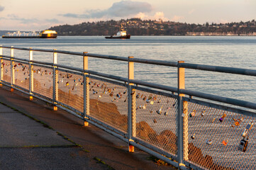 Love Locks on a Fence in West Seattle, Washington. More than 250 padlocks of all colors and sizes...