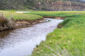 winding river through green fields 