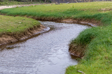 winding river through green fields 