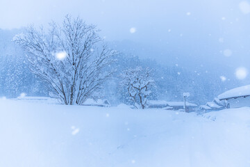 ゆきんこが出てきそうな、白川郷の降雪。