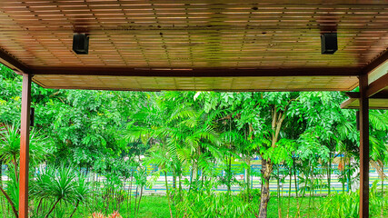 Green garden from outside balcony  after rain, Beautiful green lawn for relax at home