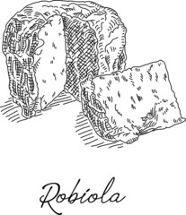 Robiola cheese. Sketchy hand-drawn illustration. Italian cheese.