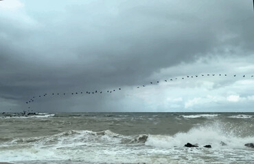 A flock of birds flies in a storm over the Sea of Azov