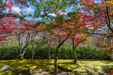 紅葉の箱根美術館　神奈川県箱根町