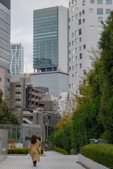 渋谷駅方面を望む　神宮前5丁目、渋谷区、東京、日本