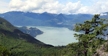 Squamish bay from Chief viewpoint