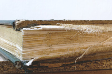 Torn and worn out book spine showing the inner book bindings. Macro closeup view. - obrazy, fototapety, plakaty