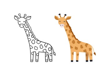 Obraz premium Vector hand-drawn illustration with giraffe. Cute funny animal. Contour and color version.