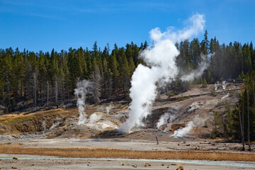 Norris geyser basin