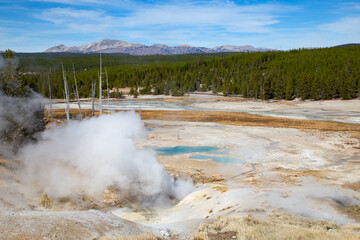 Norris geyser basin