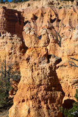 Bryce canyon