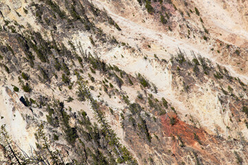 Yellowstone canyon