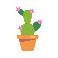 Cactus icon on isolated white background. Houseplant, succulent.Colored vector illustration cartoon flat style.