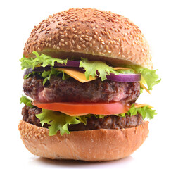 Hamburger on a white background