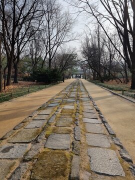 Jongmyo, an old palace in Korea