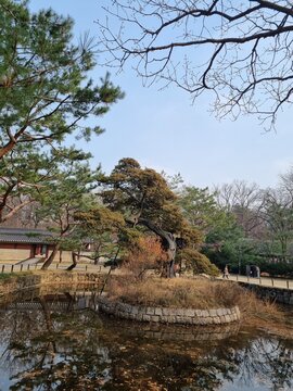 Jongmyo, an old palace in Korea