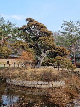 Jongmyo, an old palace in Korea