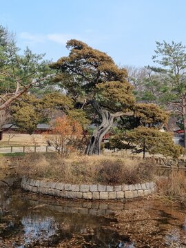 Jongmyo, an old palace in Korea