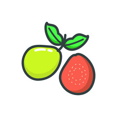 guava vector on white background