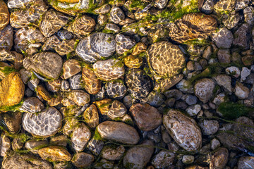 multi colorful stones under the clean water. 