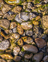 multi colorful stones under the clean water. 