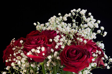 Bouquet of dark red roses on a dark background