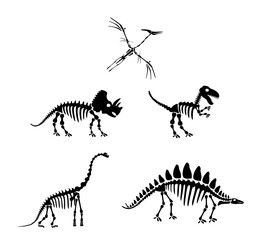 Fototapeta na wymiar Dinosaur silhouettes set. Silhouette of dinosaur skeletons, dinosaur bones. Diplodocus, Tyrannosaurus rex, Triceratops, Centrosaurus, Pterodactyl. Modern vector design image isolated on white.