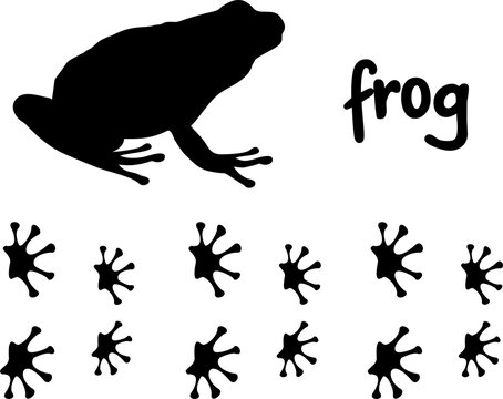 Silhouette of a frog and prints of its paws. Frog tracks. Frog silhouette icon vector illustration