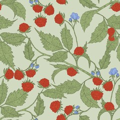 Seamless pattern with flowers. Seamless pattern with raspberries, retro, design for textile and wallpaper 