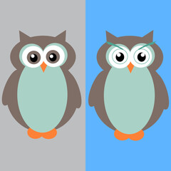 two owls in a different background