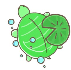 R:もっとメルヘンな水族館☆スッポン　上から④