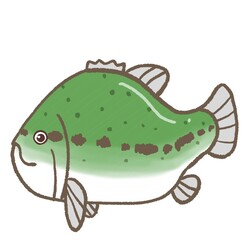 R:もっとメルヘンな水族館☆外来種 ブラックバス③