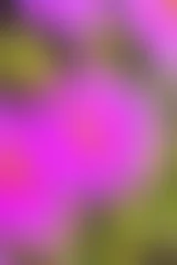 Photo sur Plexiglas Violet un arrière-plan de superposition de texture légère de couleur floue