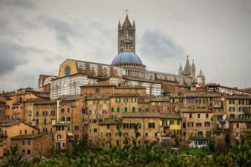Fototapeta na wymiar View to Siena downtown, Tuscany, Italy