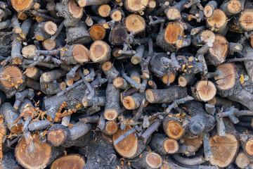 Closeup of chopped dry firewood logs in a stack ready for burning.