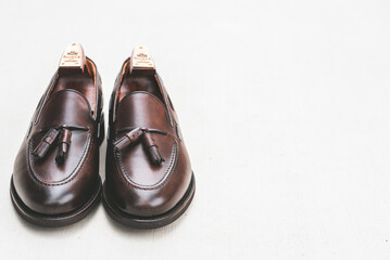 I took care of my precious leather shoes.