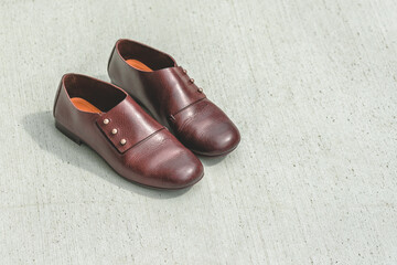 I took care of my precious leather shoes.