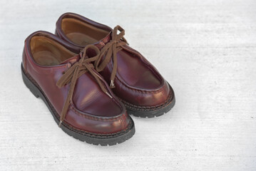 I took care of my precious leather shoes.