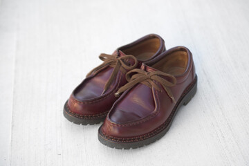 I took care of my precious leather shoes.