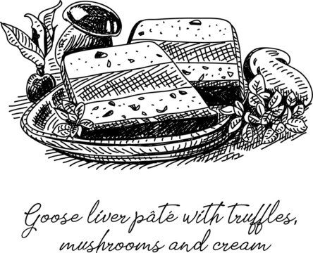 Goose Liver Pâté Sketchy Goose Liver Pâté With Truffles, Mushrooms And Cream Pate Vector. Sketchy Hand-drawn Illustration.