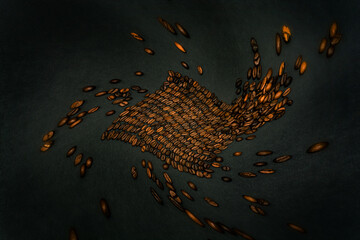 coffee beans . creative background