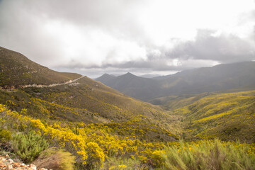 Obraz premium Panorama along the Robinson's Pass north of Mossel Bay in the Western Cape of South Africa