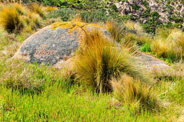 Granite rock boulder at Cape Woolamai - Phillip Island, Victoria, Australia