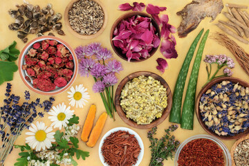 Healing herbs and flowers for natural herbal plant medicine in bowls and loose. Alternative health care concept. Top view, flat lay on mottled yellow background.