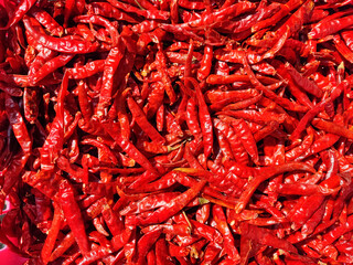 red hot chili peppers dry with a strong sun light 
