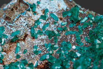 macro mineral stone Dioptase on a gray background