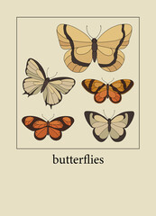 Poster with butterflies in modern, trendy colors, contemporary aesthetic background or card template