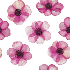 Pink Anemones seamless pattern. Watercolor Poppy flowers botanical print